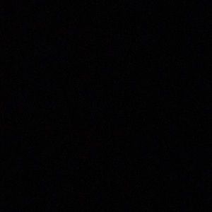 Meet your Posher, Willy